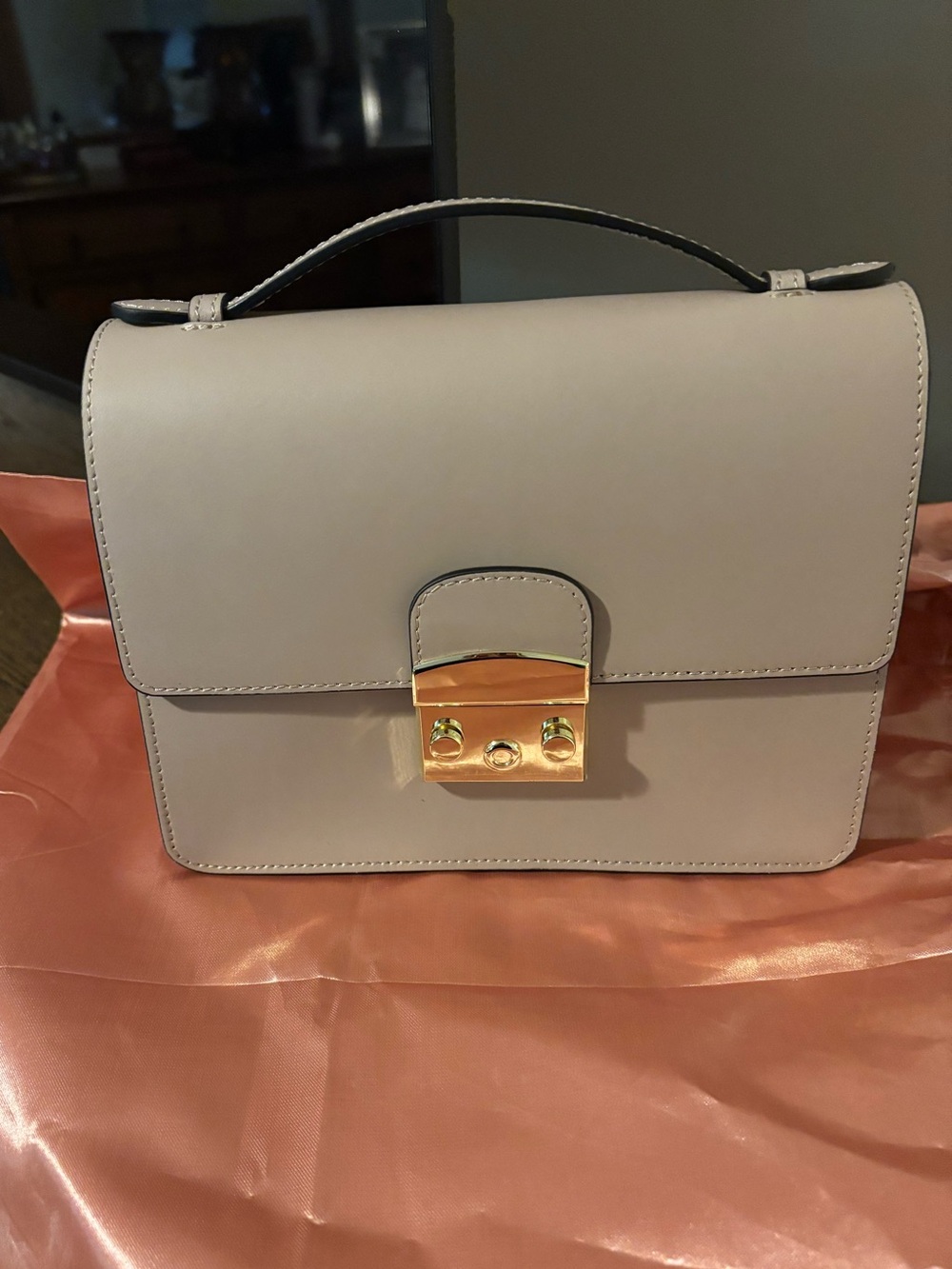 Camelia Roma Top-Handle Leather Bag with Gold Tone Lock
